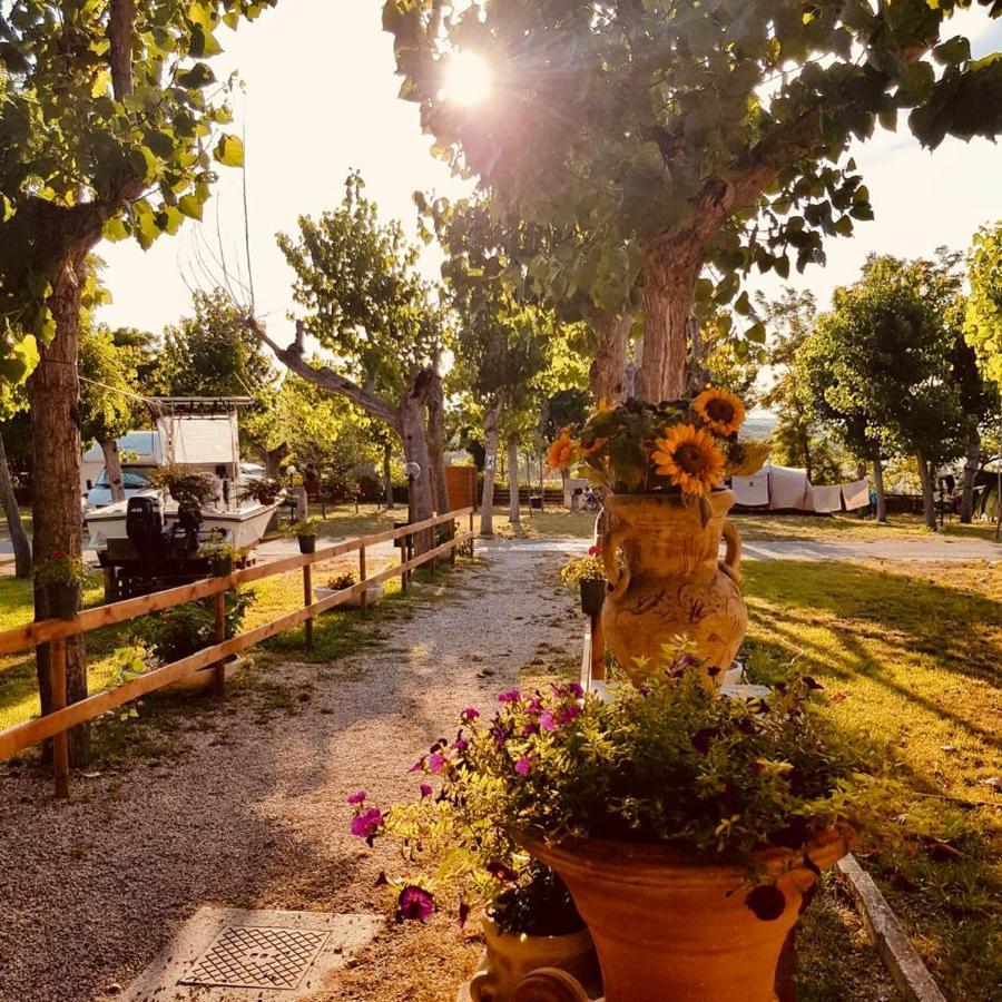 Camping Torre Mucchia 奥托纳 外观 照片