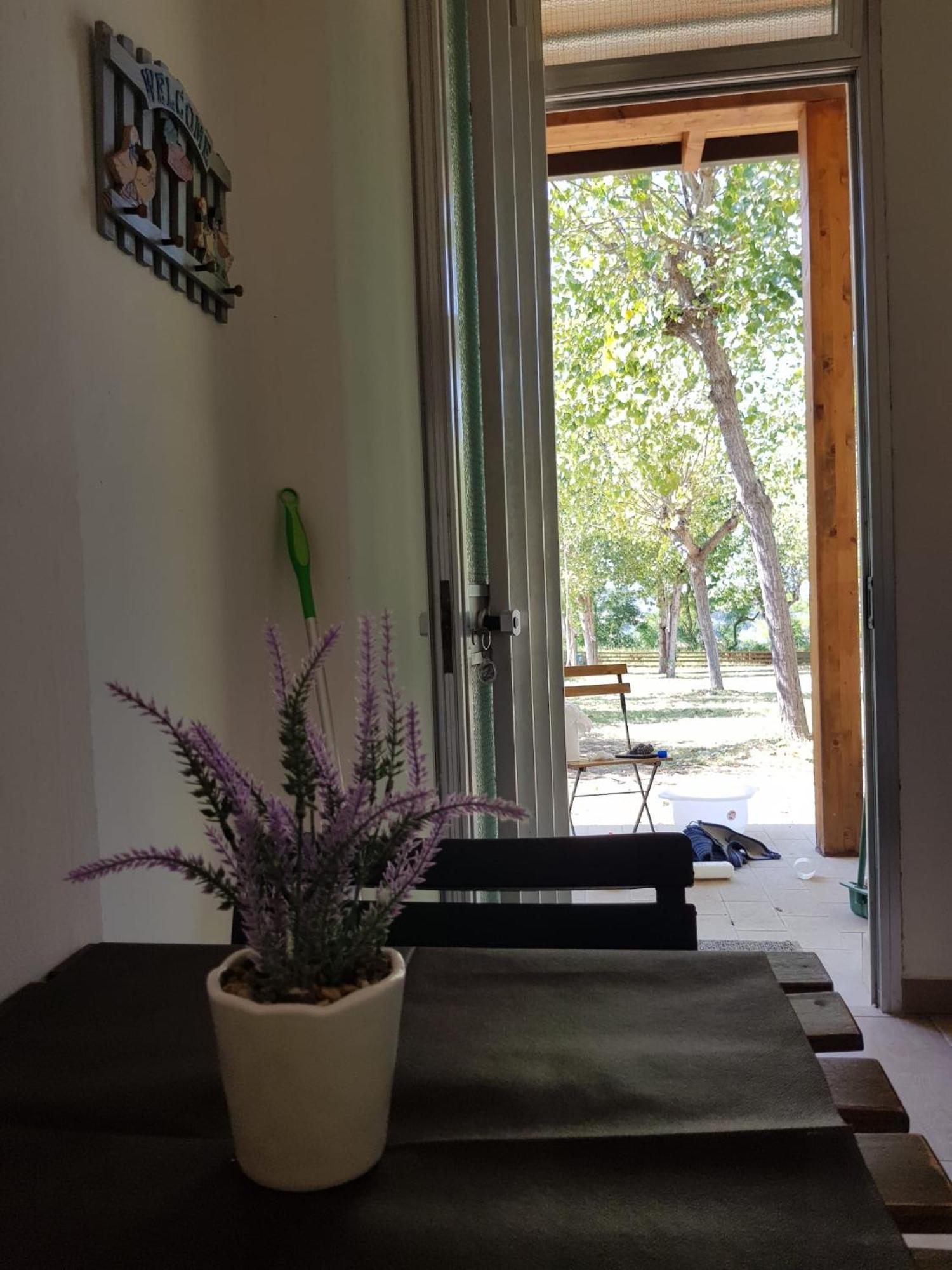 Camping Torre Mucchia 奥托纳 外观 照片