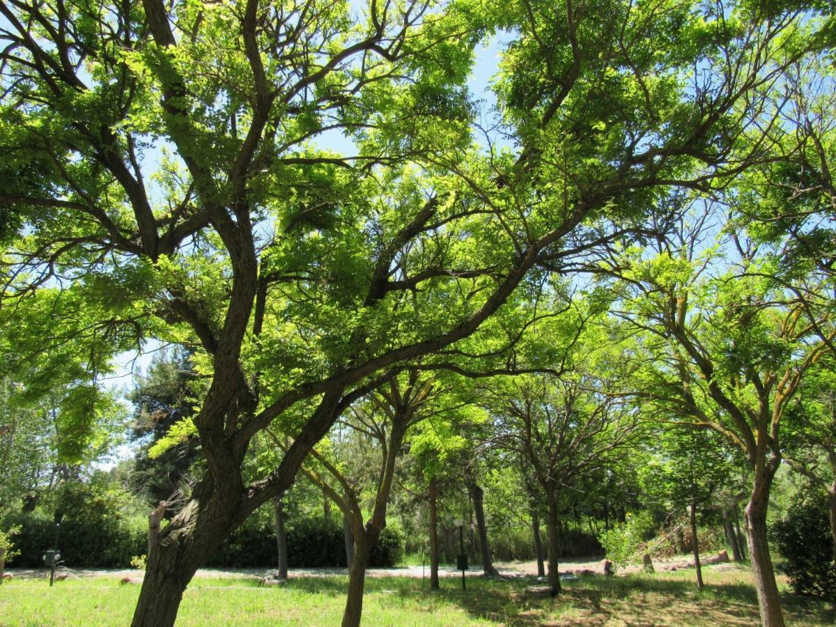 Camping Torre Mucchia 奥托纳 外观 照片