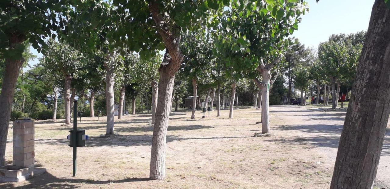 Camping Torre Mucchia 奥托纳 外观 照片